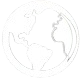 language Icon